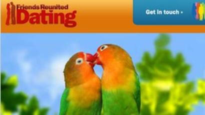 two parrots necking